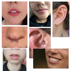 NZDLM Clear&Gold Septum Rings 16g 18g Septum Nose Rings for Women Men Horsesh…