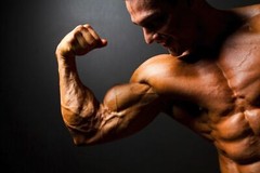 muscle diet – BODYBUILDING EXTREME – blood pressure optimizer supplement 2 BOTTL