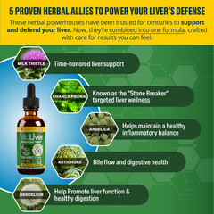 VitaLiver – Liver Support Supplement – with Milk Thistle & Artichoke! | 3 Pack
