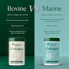 Collagen Peptides Powder – Supports Skin, Hair, Nails, Joints & Digestion – H…