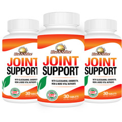 Joint Support by Rise-N-Shine Buy 2 Get 1 FREE 3 Pack
