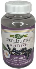 Sambucus Elderberry Gummies—Kids Immune Support—60ct—See Below—SHIPS IN 24 HOURS