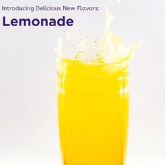 Stone Stopper Drink Mix, Lemonade, Kidney 30 Servings (Pack of 1)