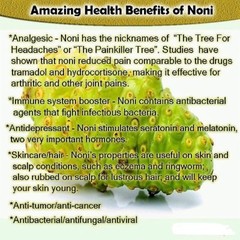 energy boost formula – NONI EXTRACT 500MG 3B – brain booster supplements