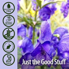 Alcohol-Free Skullcap Herb, 1-Fluid Ounce